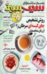 کتاب دوهفته‌نامه سیب سبز شماره ۱۷۴ (نسخه PDF) نوشته  گروه نویسندگان